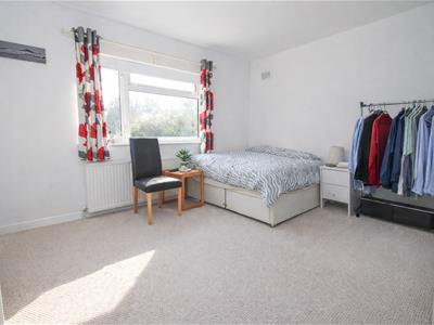 Picture 13